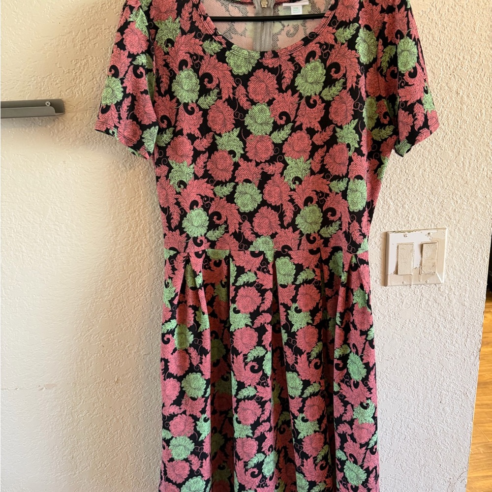 LuLaRoe Floral Dress in Pink and Green